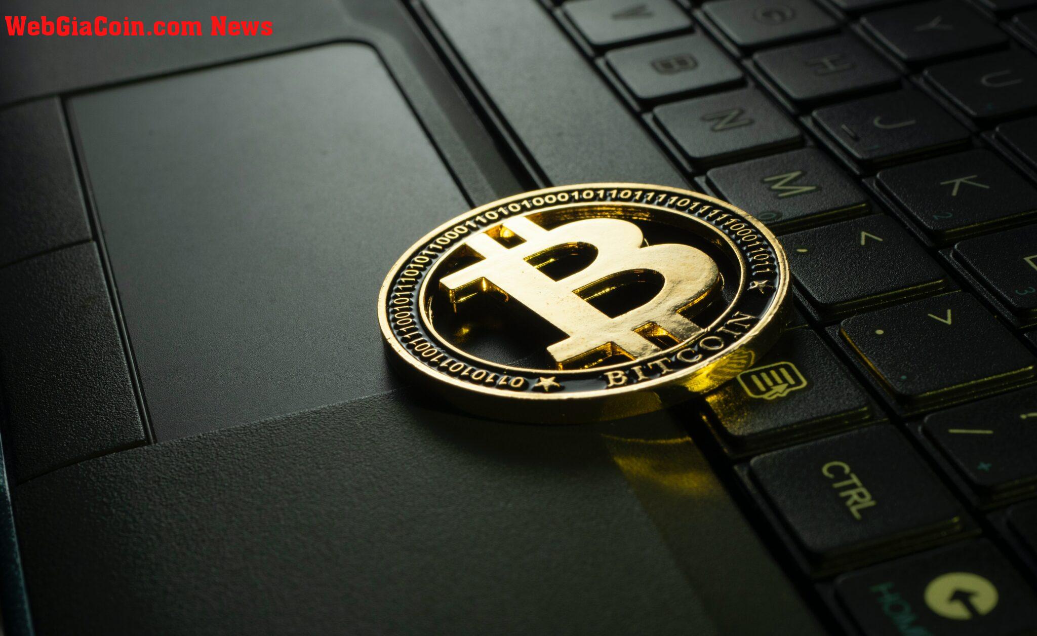 Một nửa số Bitcoin không di chuyển trong 2 năm: điều này có ý nghĩa gì đối với giá BTC?