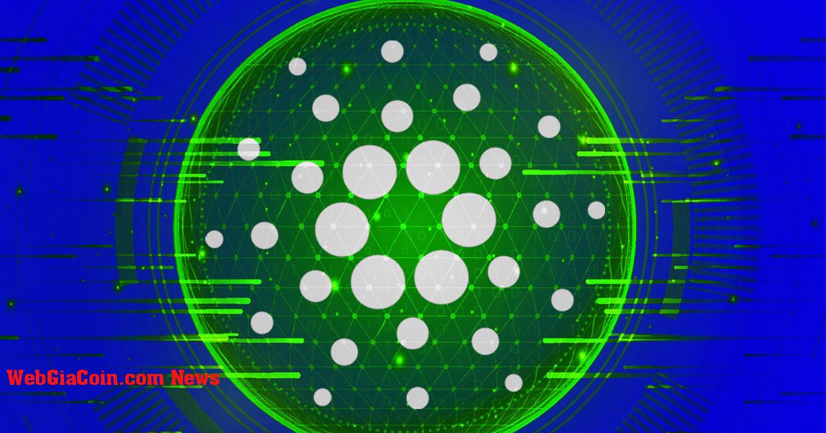 Cardano ADA thấy giao dịch cá voi tăng lên, DeFi TVL tăng gấp đôi