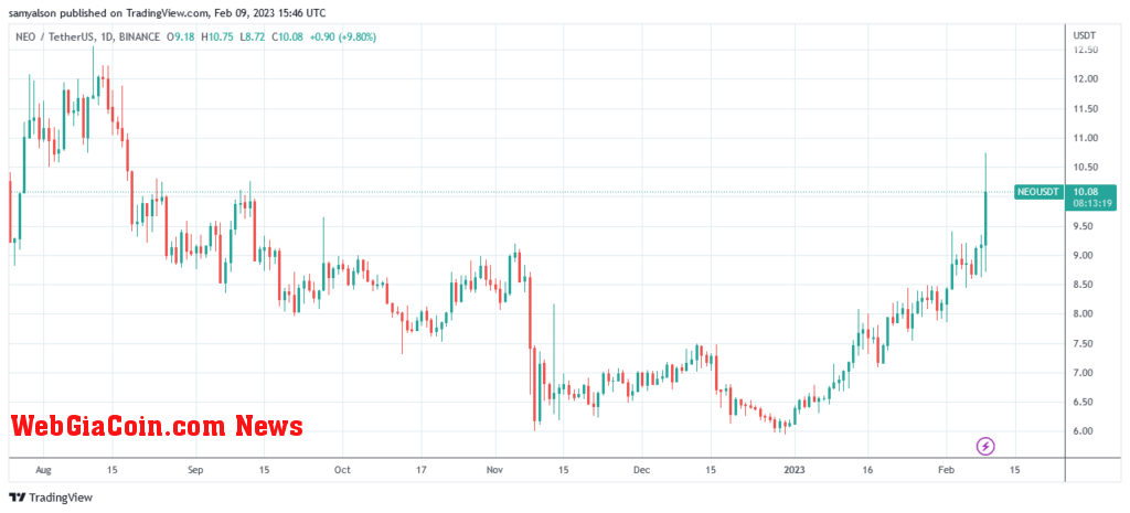 NEO daily chart