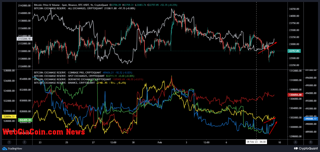 Bitcoin Exchange Reserve