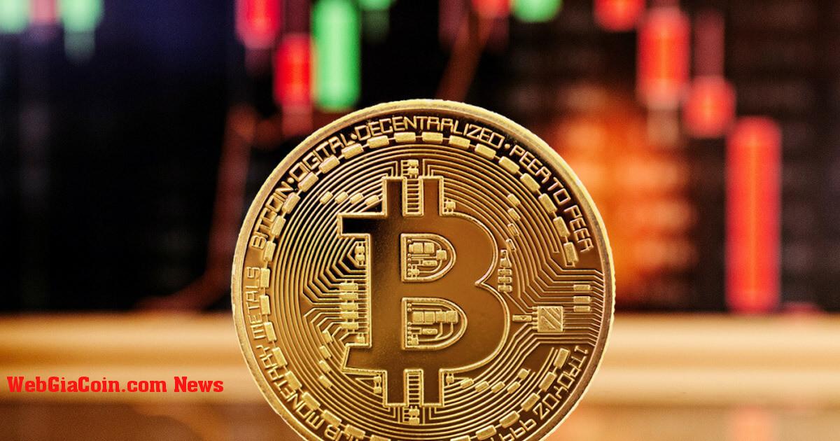 Năm 2022 nhận thấy mức giảm giới hạn là tồi tệ thứ hai trong lịch sử Bitcoin