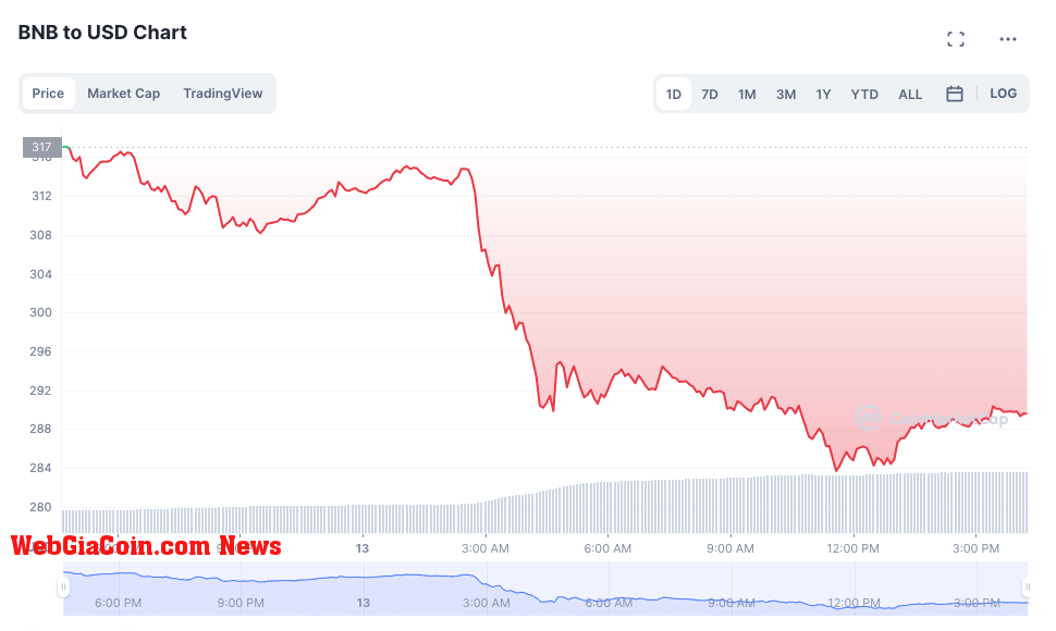 BNB Token Price Tumbles More Than 9% on Feb. 13 (Source Coin Market Cap)