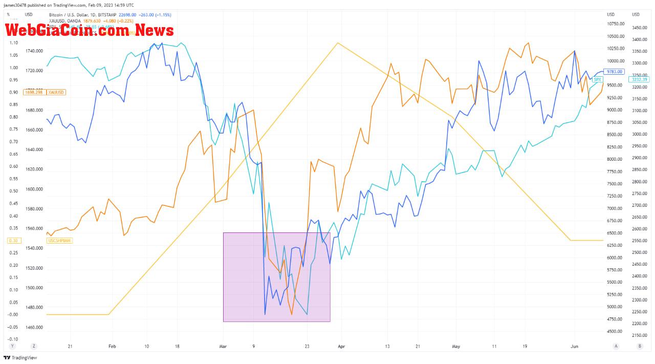 Bitcoin, gold, S&P 500, and Case Shiller