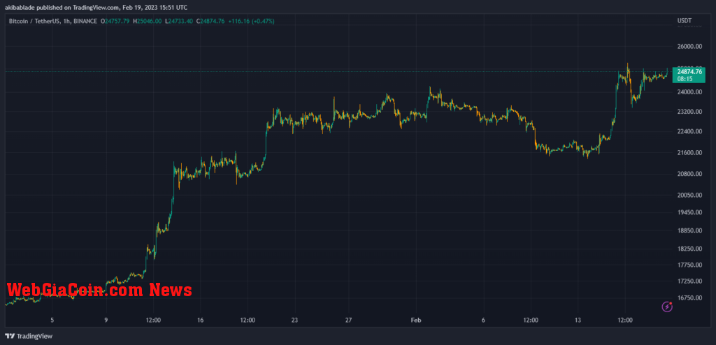 BTC USD TYD