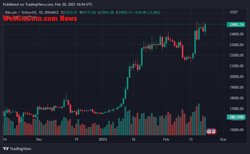 Bitcoin Price on February 20