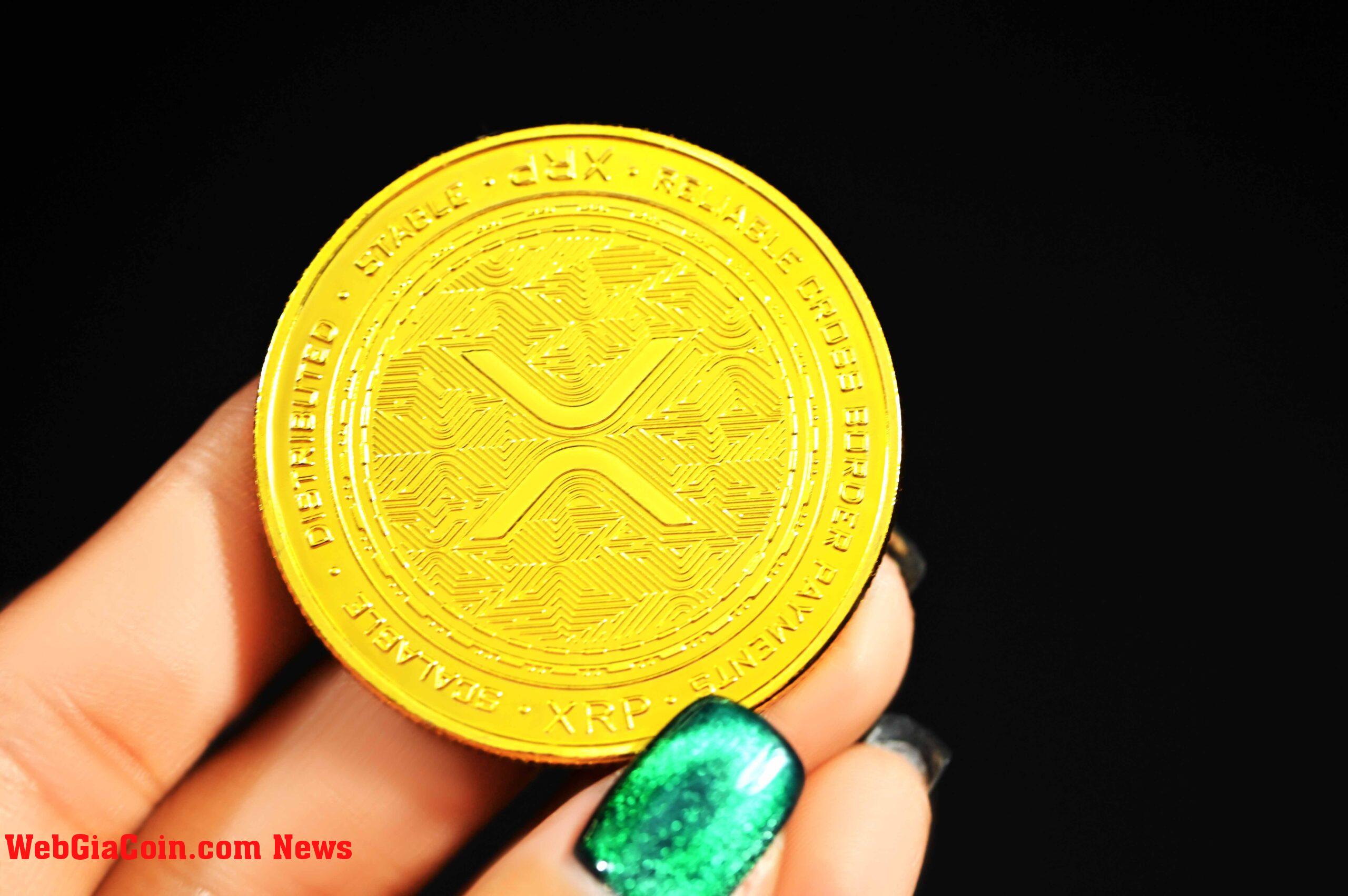 Cá voi XRP di chuyển 19,7 triệu đô la khỏi Binance, Dấu hiệu tăng giá?