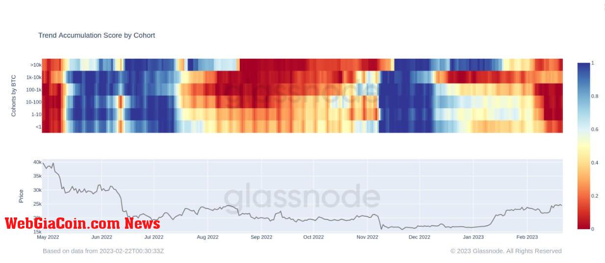 Trend Accumulation Score: (Source: Glassnode)