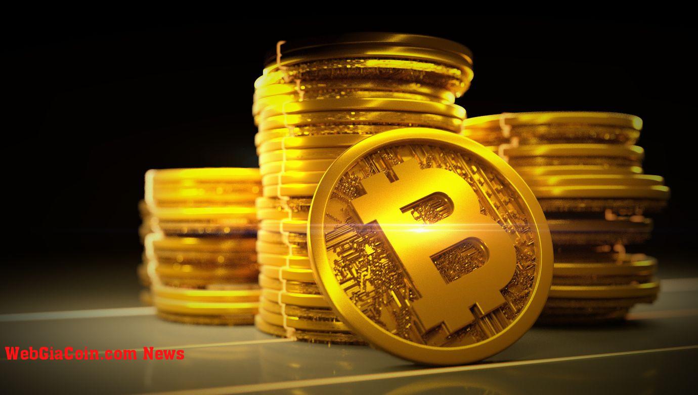 Trong đợt giảm giá Bitcoin năm 2022, tiền thông minh không thông minh