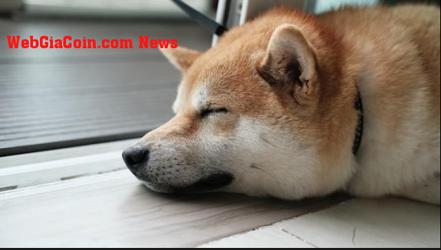 Dogecoin (DOGE) trượt 3% khi các loại tiền điện tử chính đối mặt với thua lỗ