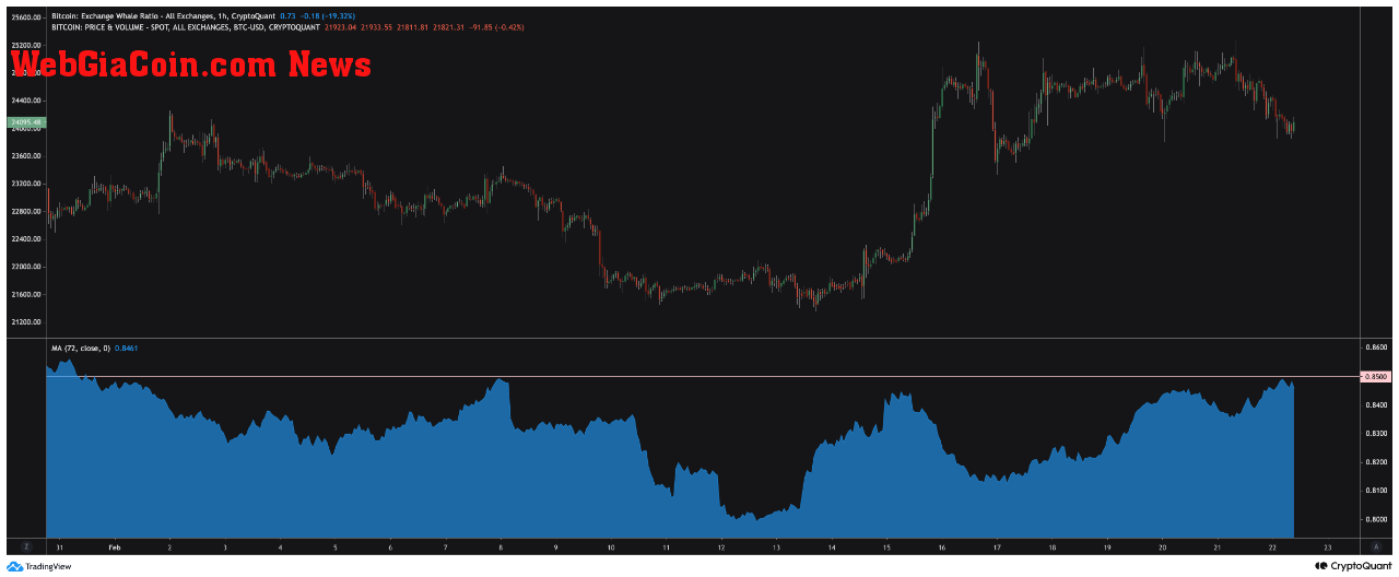 Bitcoin Exchange Whale Ratio