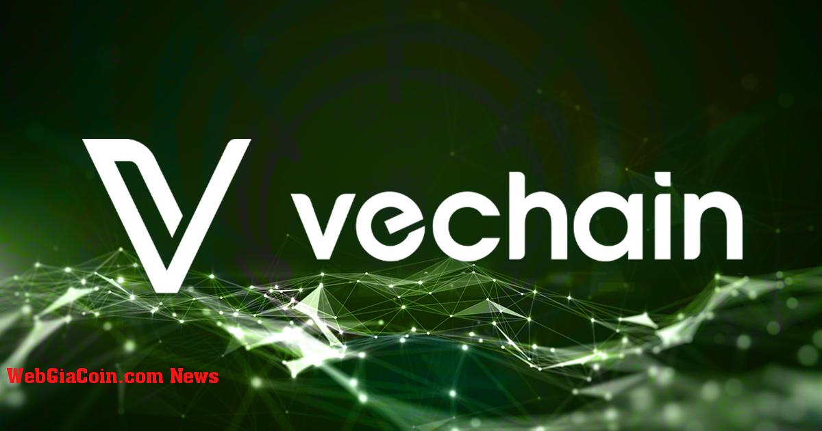 VeChain phát hành sách trắng 