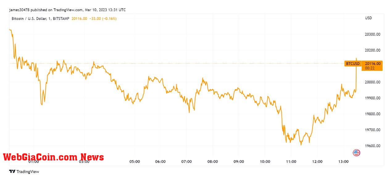 BTCUSD: (Source: Trading View)