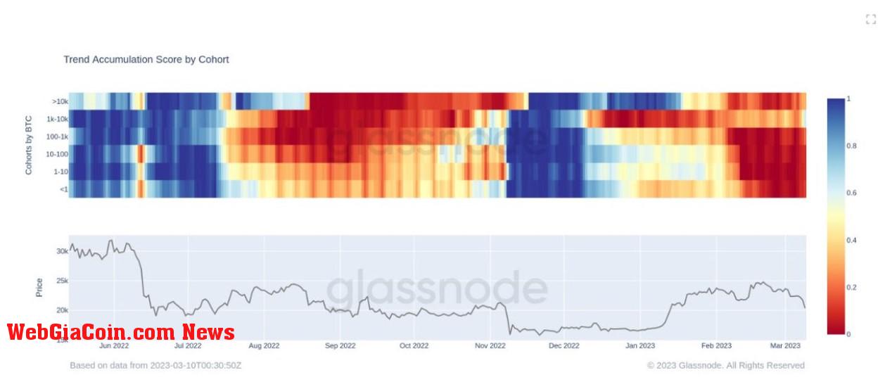 Accumulation Trend Score by cohort: (Source: Glassnode)