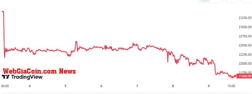 Bitcoin Price Chart