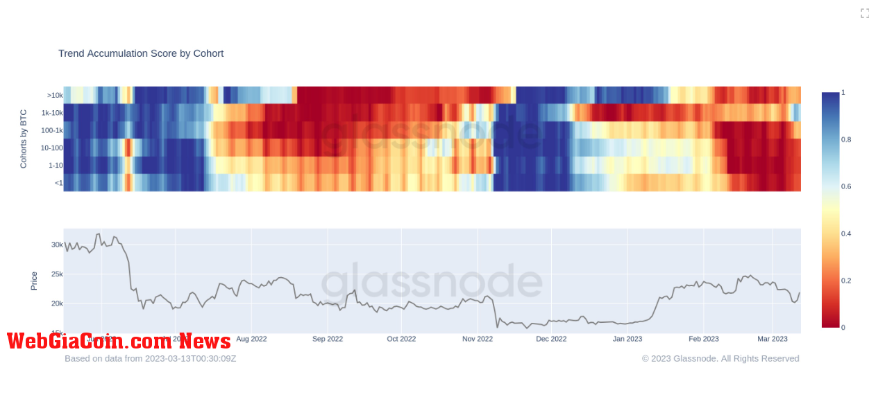 Accumulation Trend Score by cohort: (Source: Glassnode)