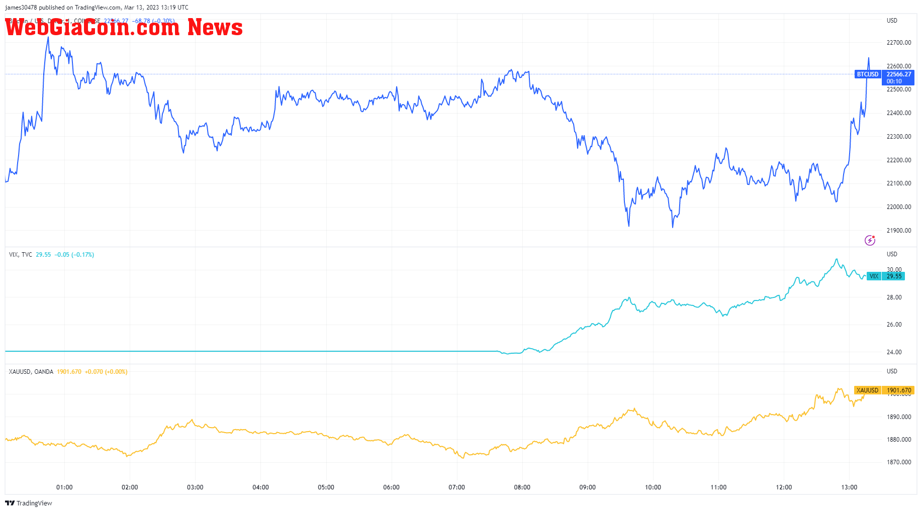 Assets: (Source: Trading View)