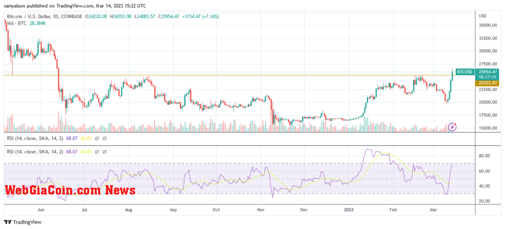 Bitcoin daily chart