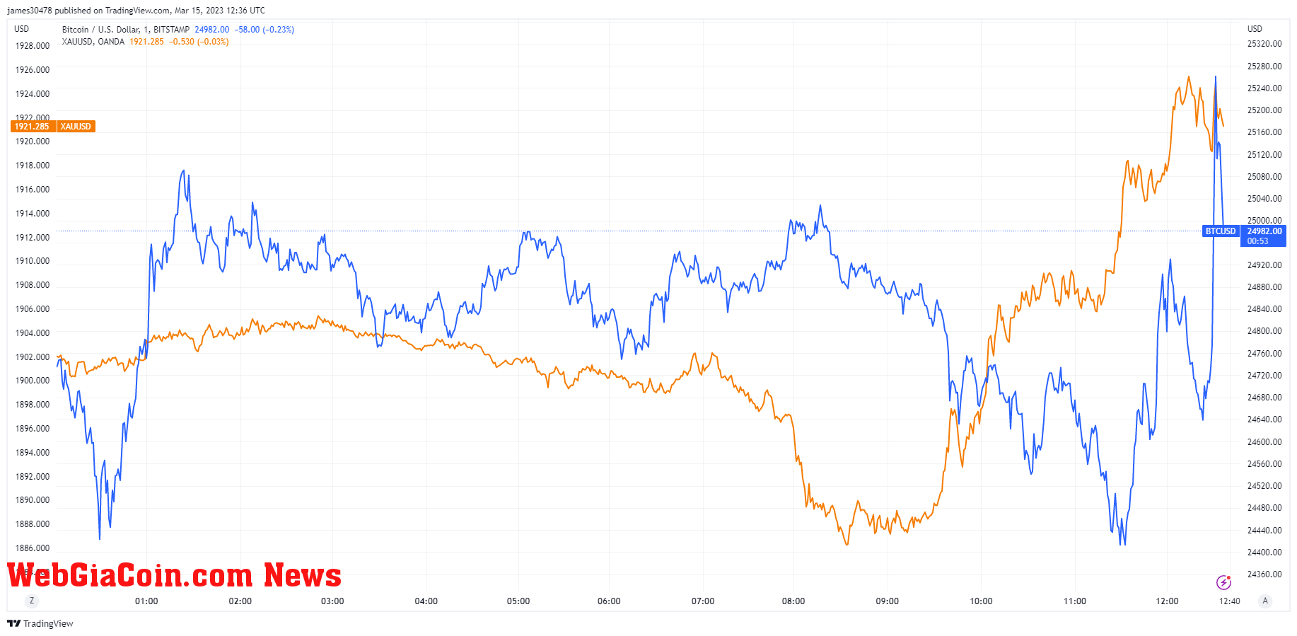 BTC and Gold: (Source: Trading View)