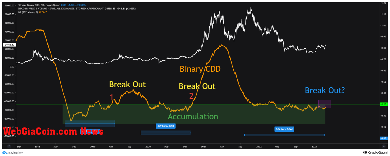 Bitcoin Binary CDD