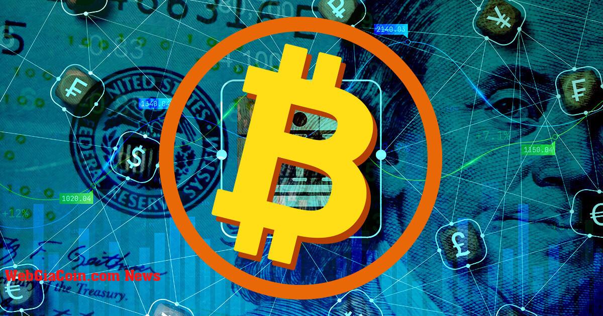 MacroSlate Weekly: Bitcoin tỏa sáng nhờ thất bại ngân hàng, gói cứu trợ