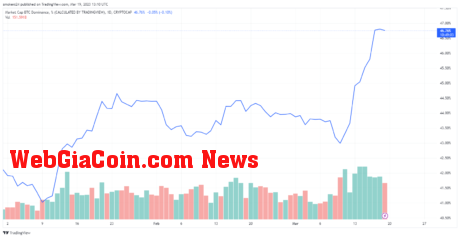Bitcoin Market Dominance Chart: source @Tradingview