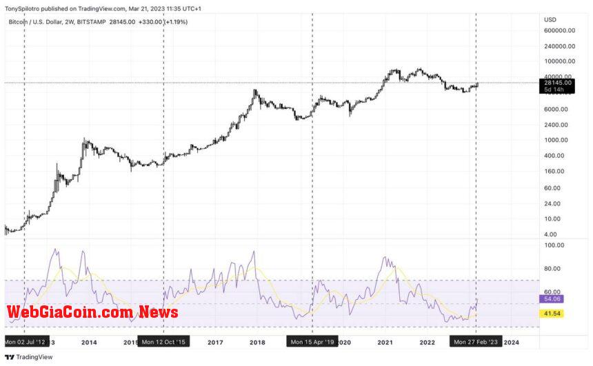 bitcoin RSI bottom is in