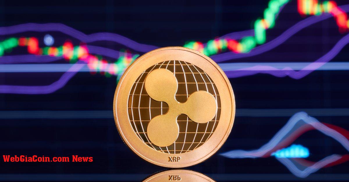 Tín hiệu tăng giá: Cá voi XRP tiếp tục mua 155 triệu đô la