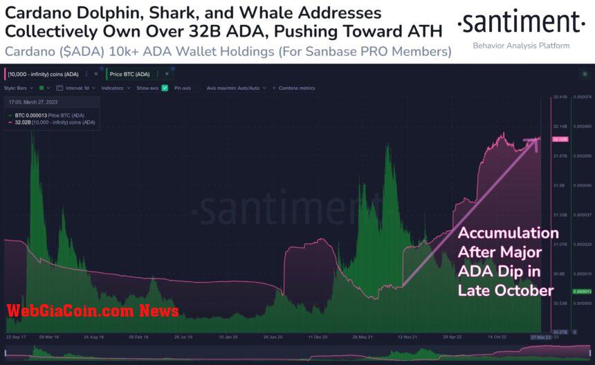 On-Chain Data Suggests Cardano Displaying Significant Growth As Price Hikes