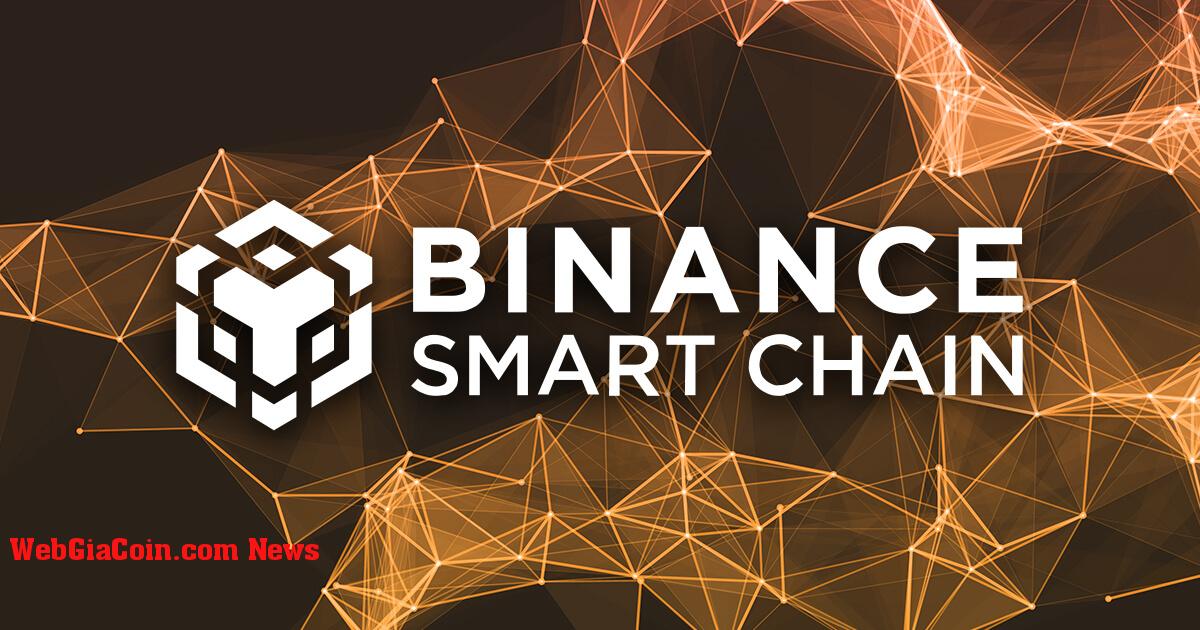 Binance tạm thời ngừng gửi và rút BSC