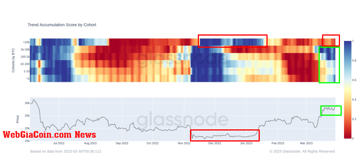 Accumulation Trend Score by Cohort: (Source: Glassnode)