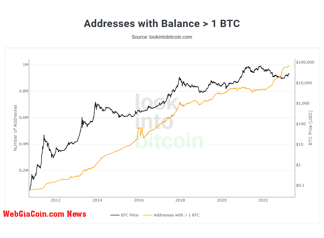 Bitcoin Wallet Sizes More Than 1 BTC Look Into Bitcoin