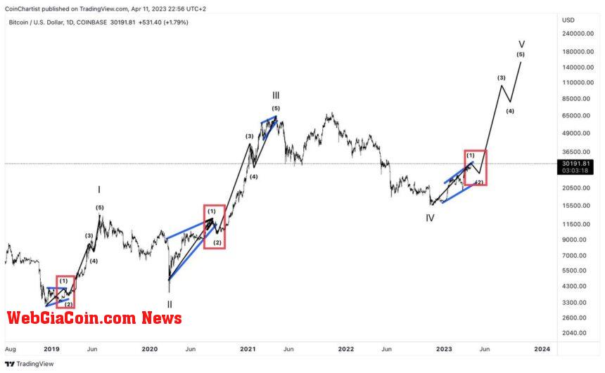 bitcoin mic drop Elliott wave principle