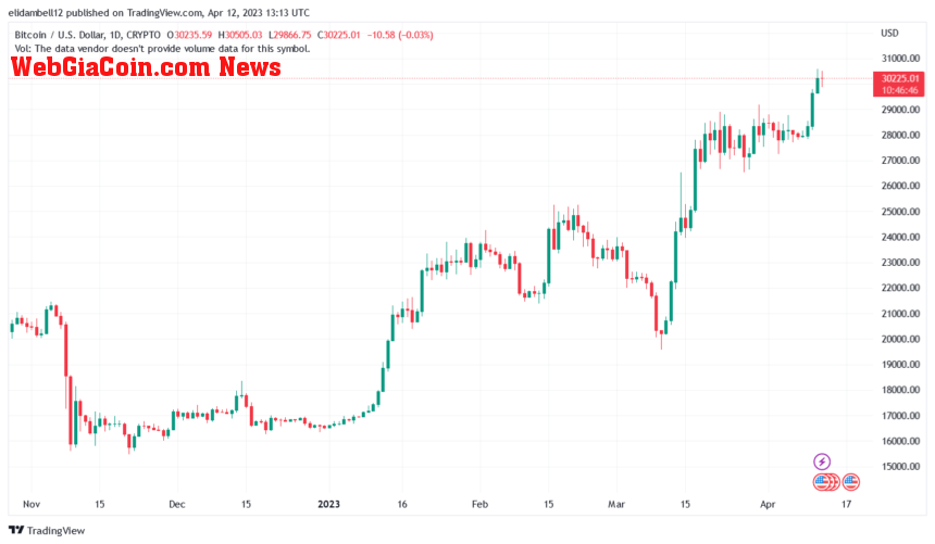 Report Claims Bitcoin To Continue The Price Rally, What's Next?