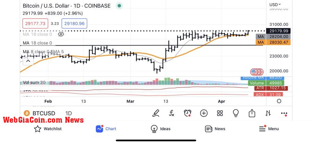 Bitcoin price Peter Brandt