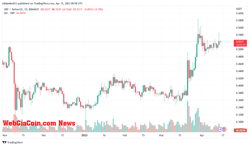 BitBoy Believes XRP is Best Altcoin Bet for Future Bull Run