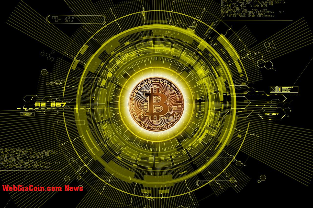 Chỉ báo đề xuất Bitcoin biến động 500% trước Halving tiếp theo