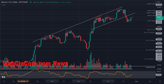 Dự đoán: giá Bitcoin sẽ quay trở lại mức thấp? tại sao các nhà đầu tư bảo hiểm rủi ro tiền cược của họ bằng tiền điện tử bán trước