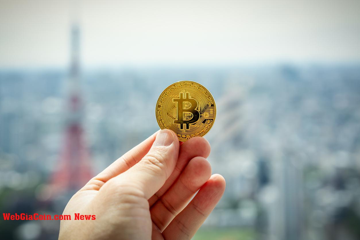 Cập nhật thị trường bitcoin: Điều gì tiếp theo khi Fed tăng lãi suất?