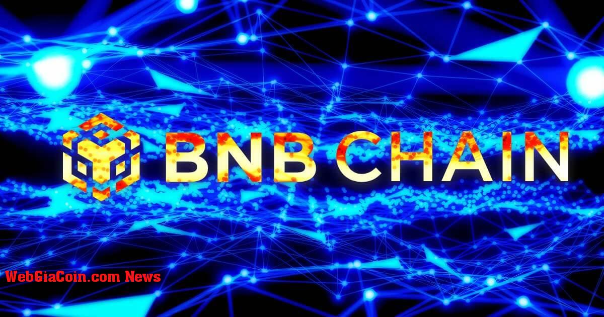 Chuỗi BNB có hơn 10 triệu địa chỉ hoạt động vào tháng 4, Ethereum có 4,9 triệu