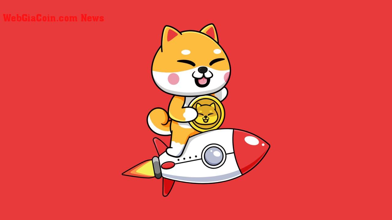 Shiba Inu (SHIB), HedgeUp (HDUP) và Polygon (MATIC): 3 phải có Token Mua trước khi mùa hè tăng giá