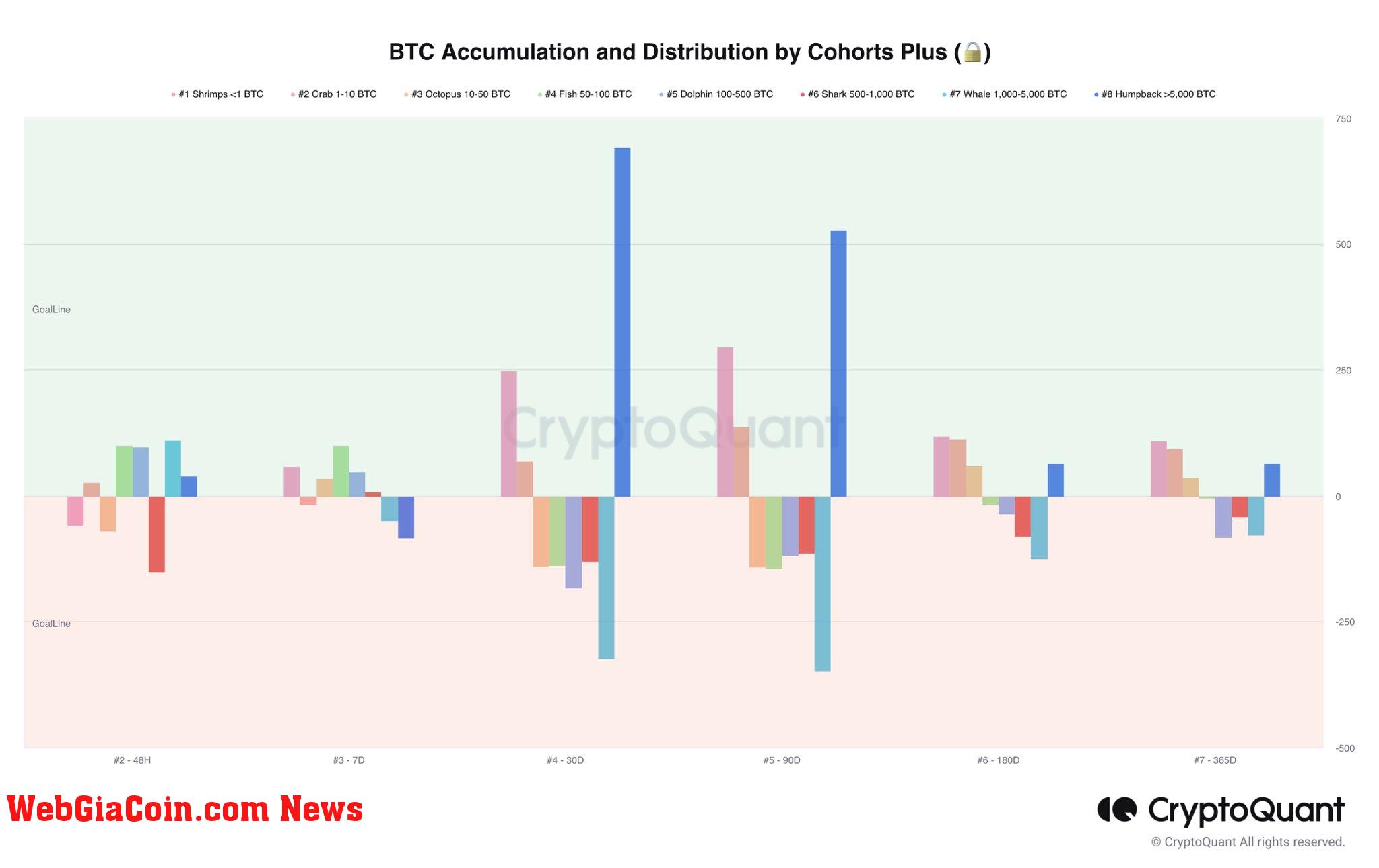 Bitcoin accumulation and distribution by cohorts