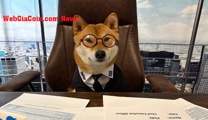 Dogecoin nhân bản Giám đốc điều hành Doge tăng vọt gần 200%