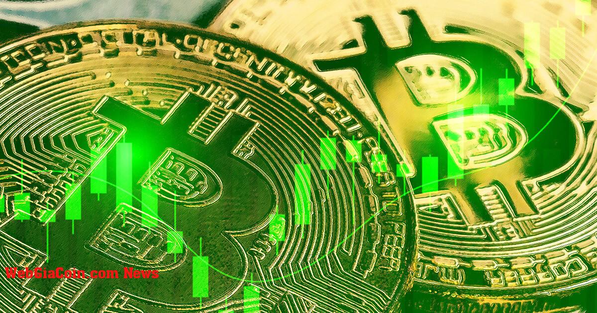 Những người giữ Bitcoin dài hạn bán gần 50 nghìn BTC – đánh dấu mức cao nhất năm 2023