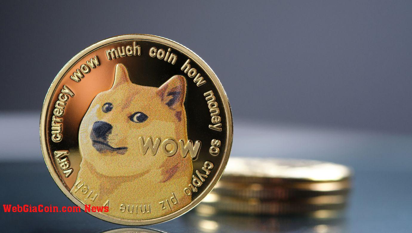 Số lượng giao dịch Dogecoin tăng 60 lần, nhưng tại sao giá lại giảm?