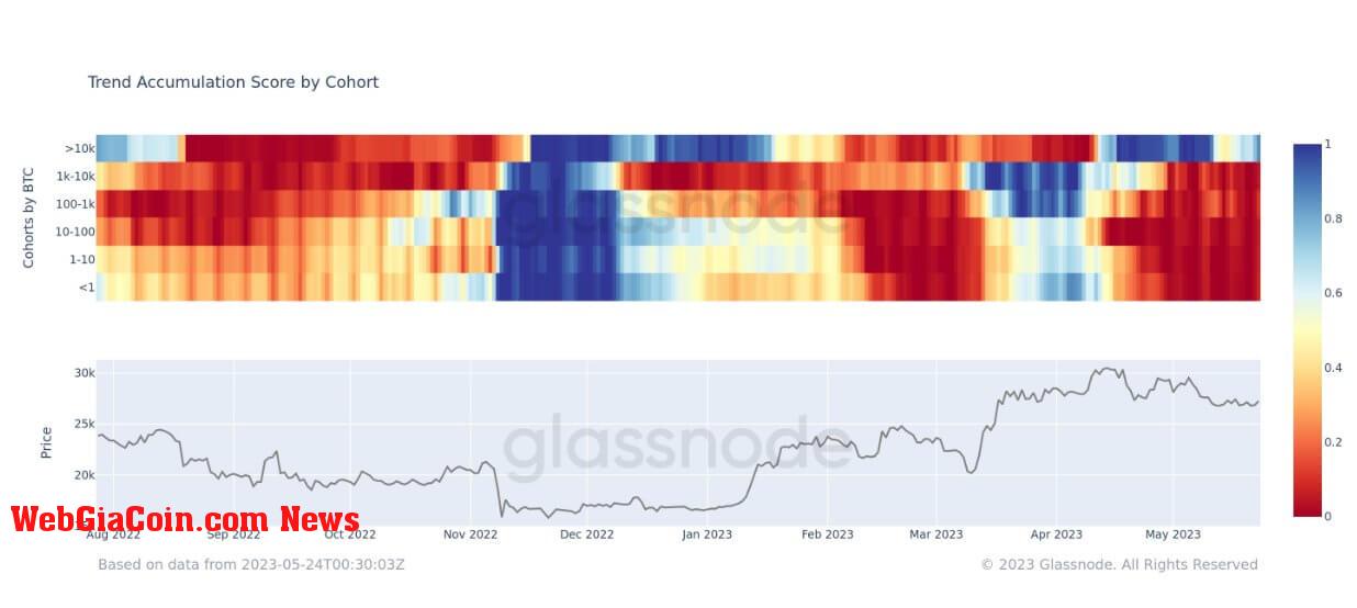 Glassnode accumulation cohorts