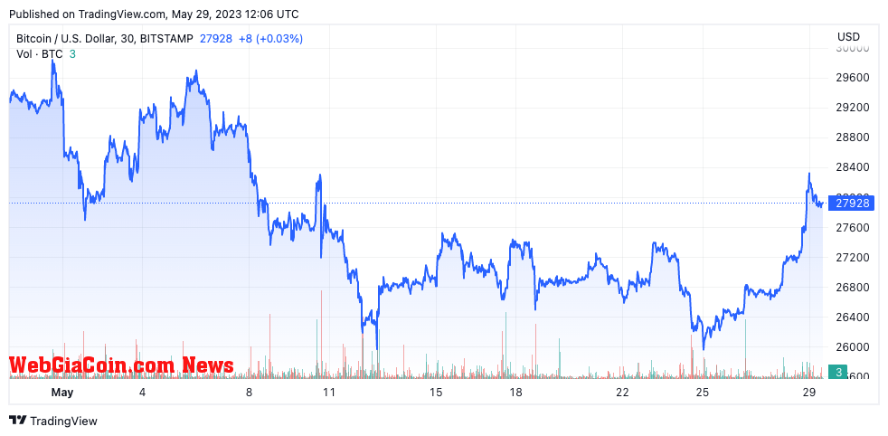 btcusd may whales