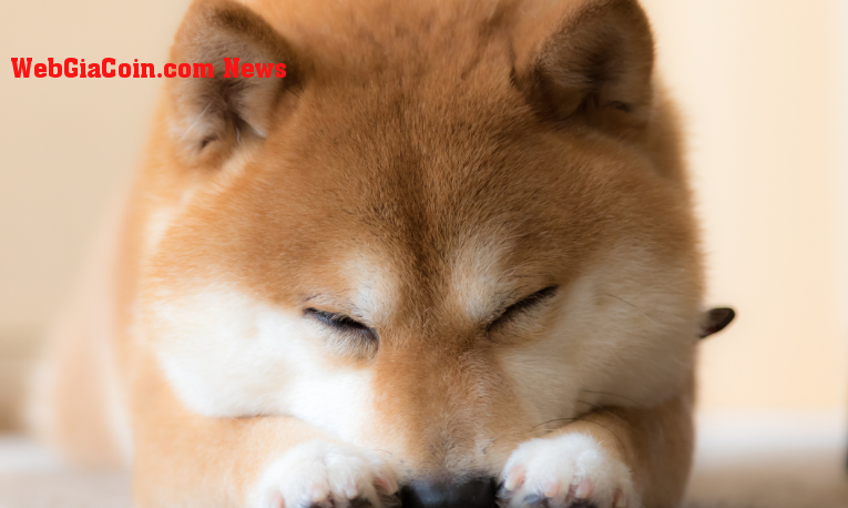 Shiba Inu lao dốc: đây có phải là dấu chấm hết cho Meme Coin yêu dấu?