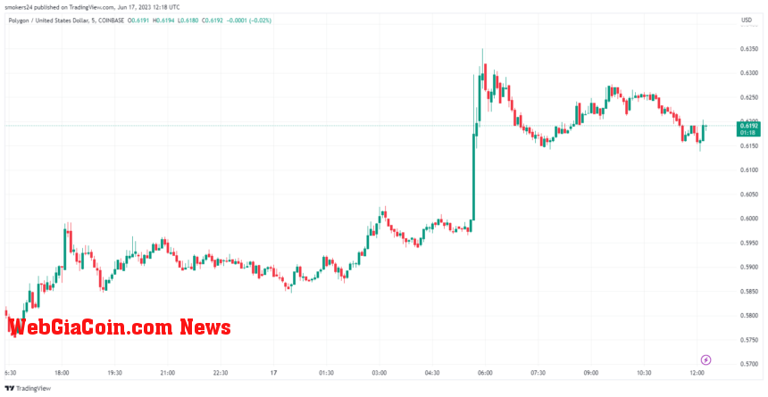 Matic has experienced a bullish rally in the past 24 hours: source @tradingview