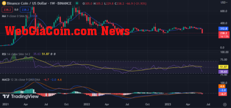 BNB weekly chart shows sideways movement: source @Tradingview