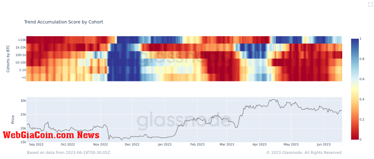 Accumulation Trend Score by cohort: (Source: Glassnode)